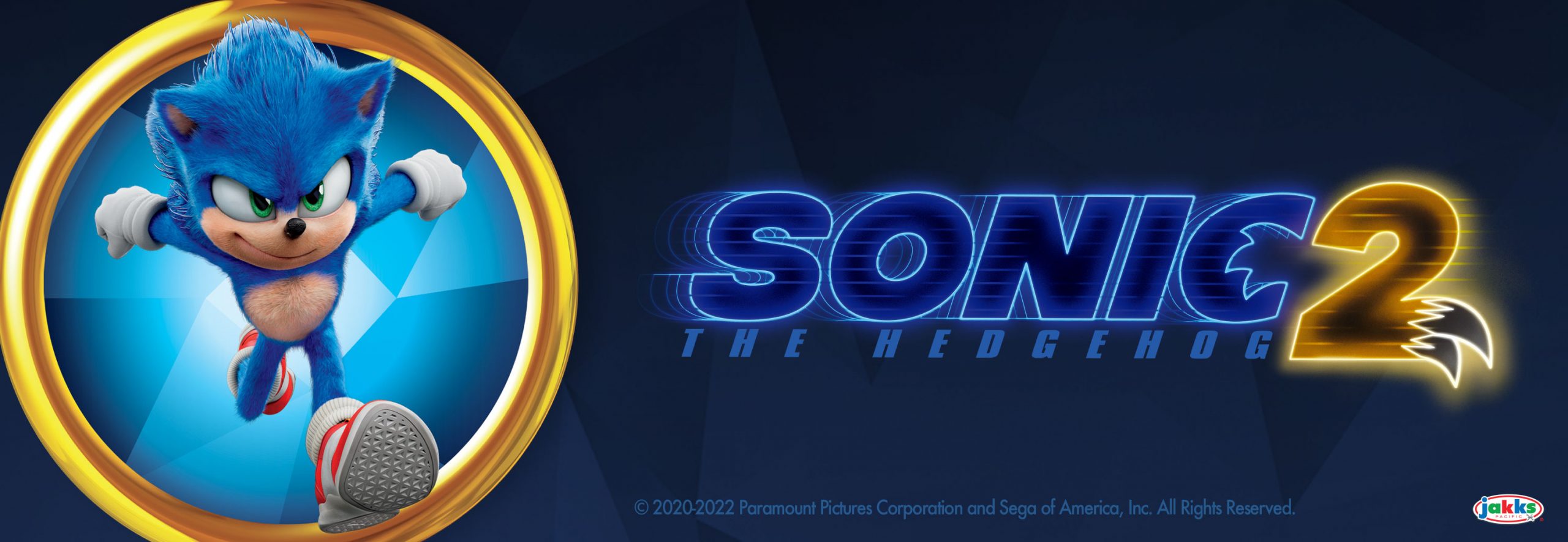 Sonic 2 Banner