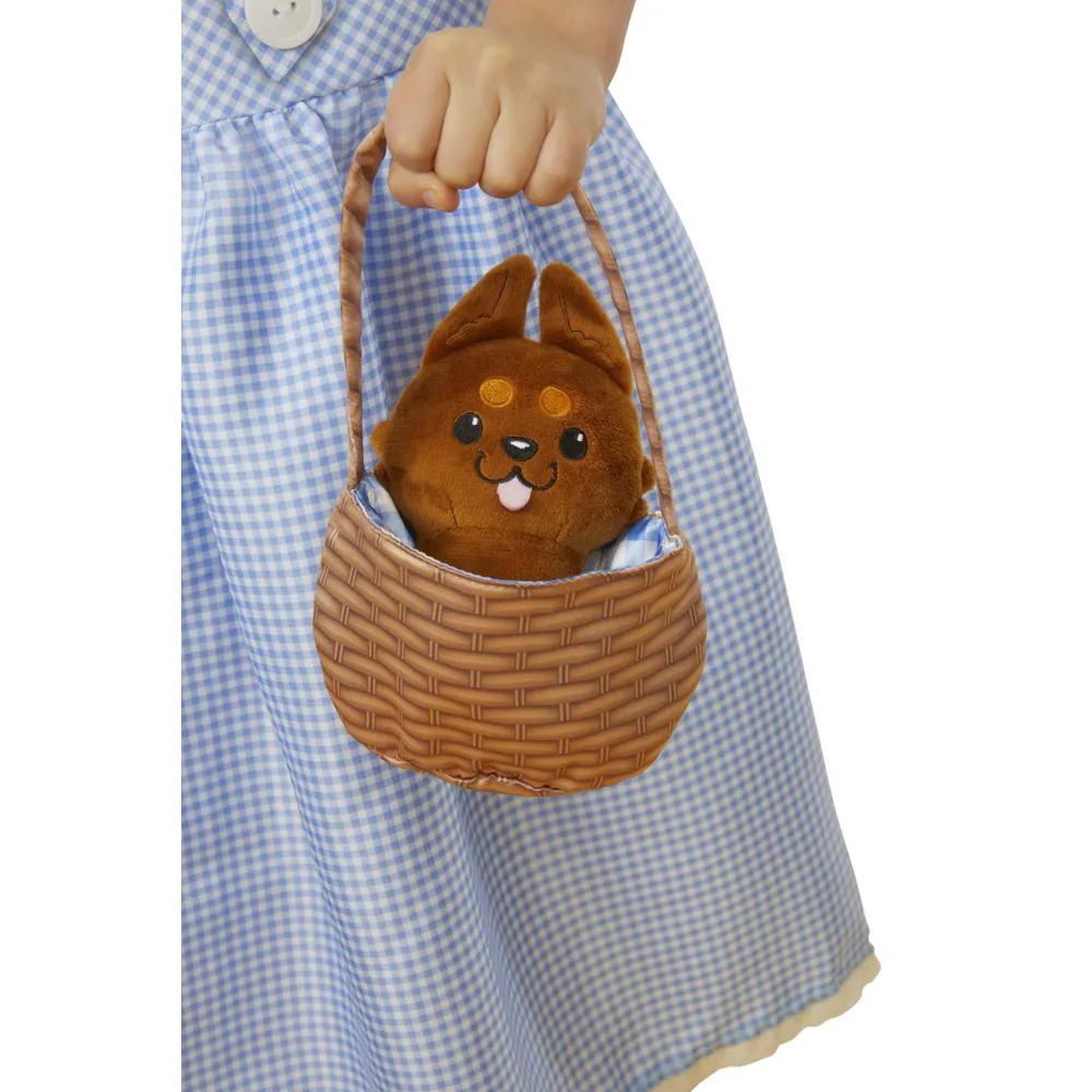 Dorothy Accessory Set